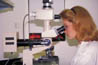 Researcher
