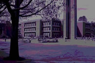 rdsquare_poster130