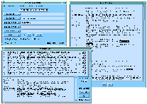 Willow Interface